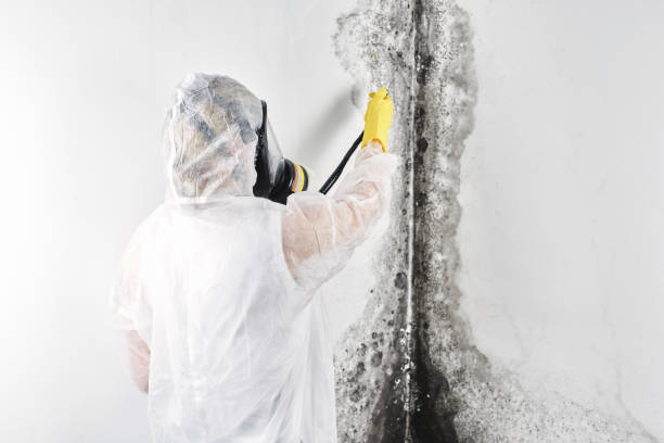 Water damage restoration mold remediation in West Hills, NY